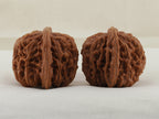Four Towers walnut pair, 42 mm — WW-00014, view 2.