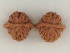 Four Towers walnut pair, 42 mm — WW-00014, view 5.