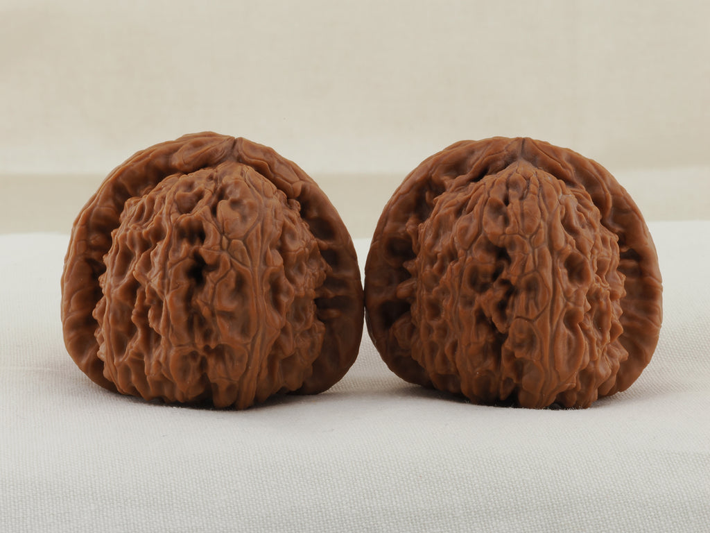 White Lion Head walnut pair, 41 mm — WW-00015, hero view.