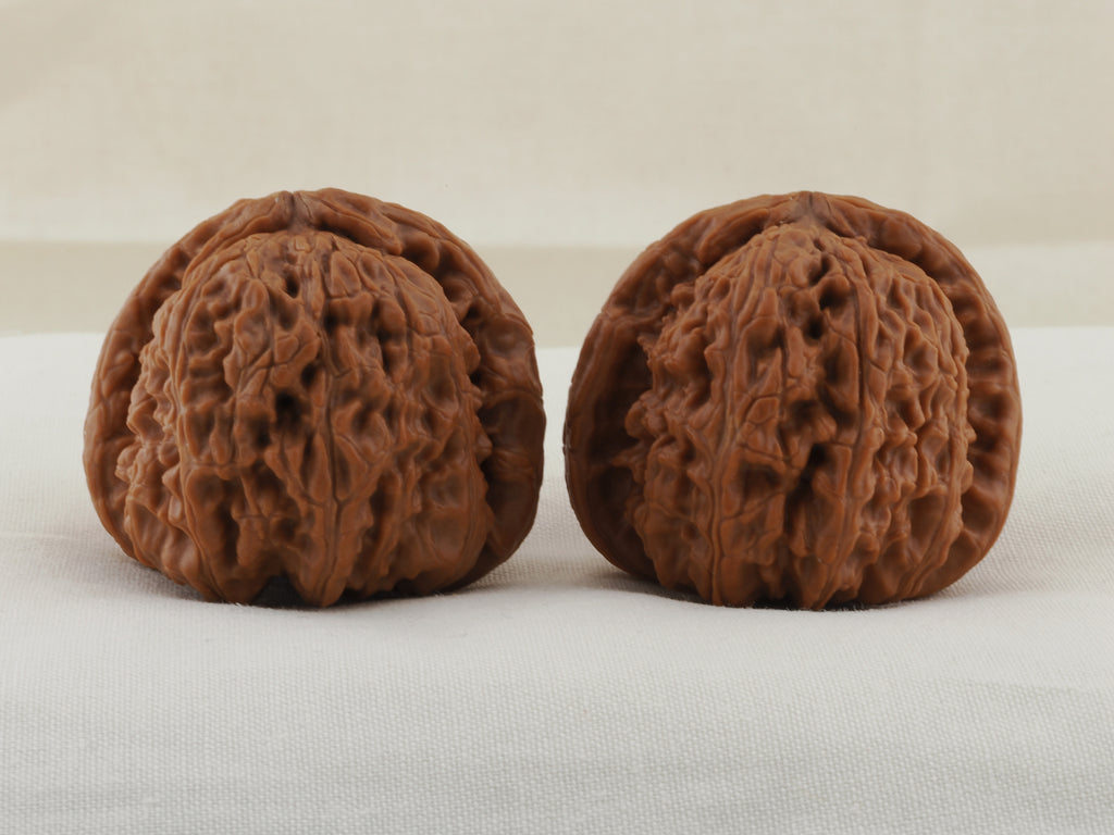 White Lion Head walnut pair, 41 mm — WW-00015, view 3.