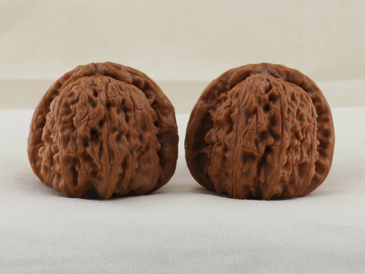 White Lion Head walnut pair, 41 mm — WW-00015, view 3.