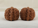 White Lion Head walnut pair, 41 mm — WW-00015, view 4.