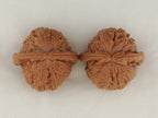 White Lion Head walnut pair, 41 mm — WW-00015, view 5.
