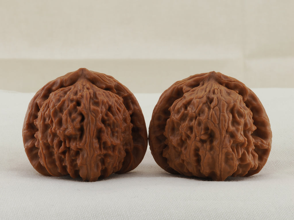 White Lion Head walnut pair, 36 mm — WW-00016, hero view.