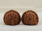 White Lion Head walnut pair, 36 mm — WW-00016, hero view.