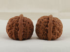White Lion Head walnut pair, 36 mm — WW-00016, view 4.