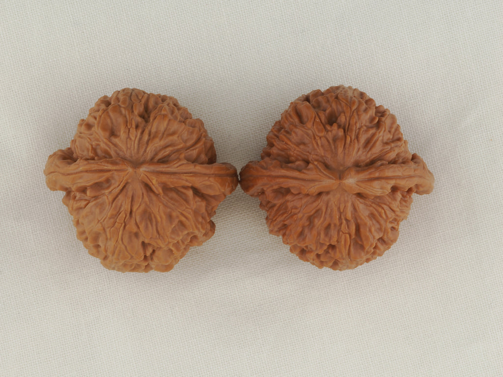 White Lion Head walnut pair, 36 mm — WW-00016, view 5.