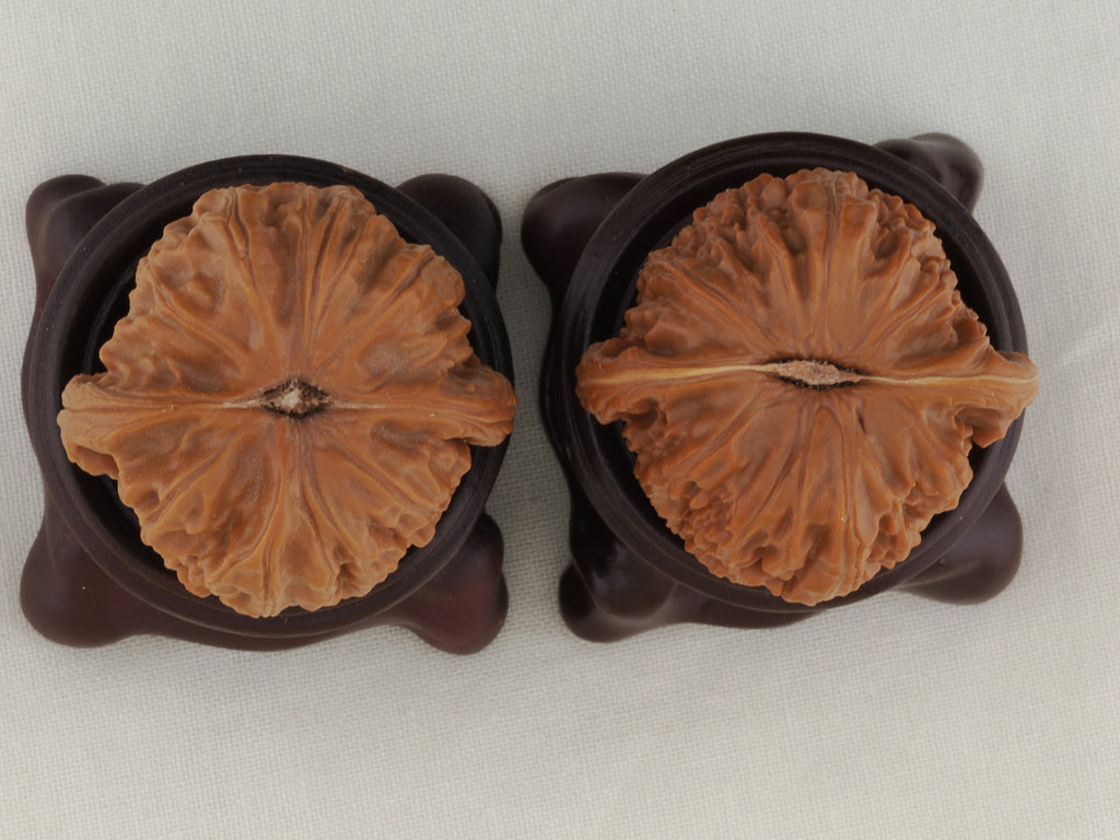 White Lion Head walnut pair, 36 mm — WW-00016, view 6.