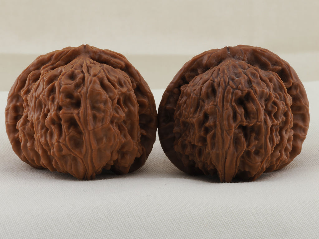 White Lion Head walnut pair, 41 mm — WW-00017, hero view.