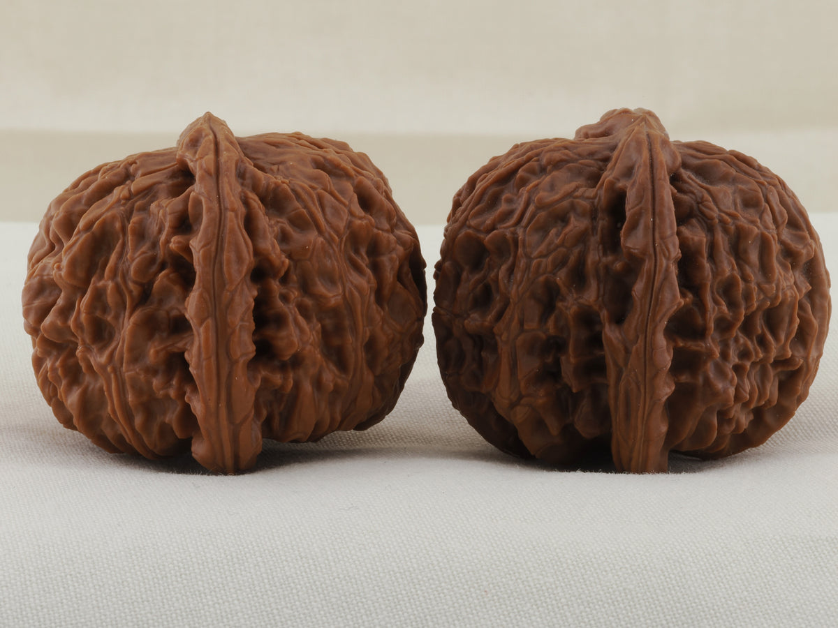 White Lion Head walnut pair, 41 mm — WW-00017, view 4.