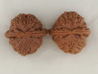 White Lion Head walnut pair, 41 mm — WW-00017, view 5.