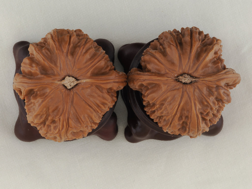 White Lion Head walnut pair, 41 mm — WW-00017, view 6.