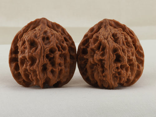 Apple Orchard walnut pair, 37 mm — WW-00018, hero view.