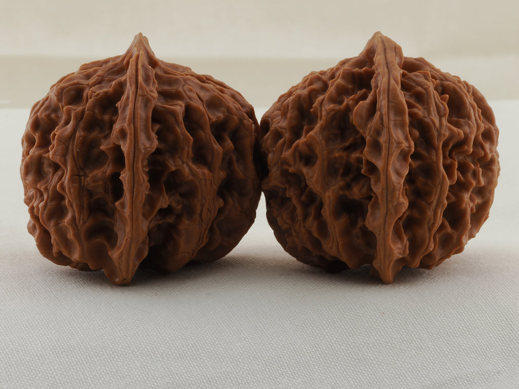 Apple Orchard walnut pair, 37 mm — WW-00018, view 2.