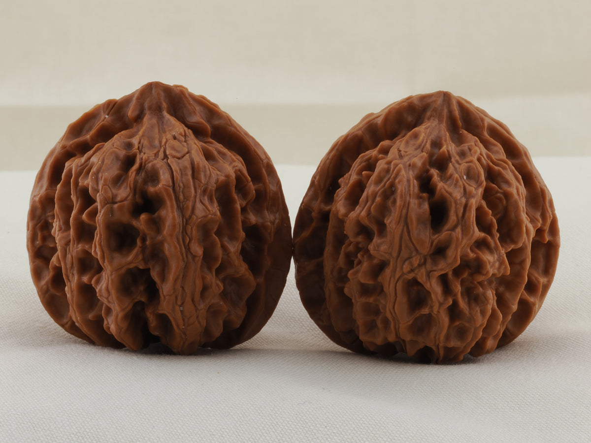 Apple Orchard walnut pair, 37 mm — WW-00018, view 3.