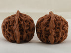 Apple Orchard walnut pair, 37 mm — WW-00018, view 4.