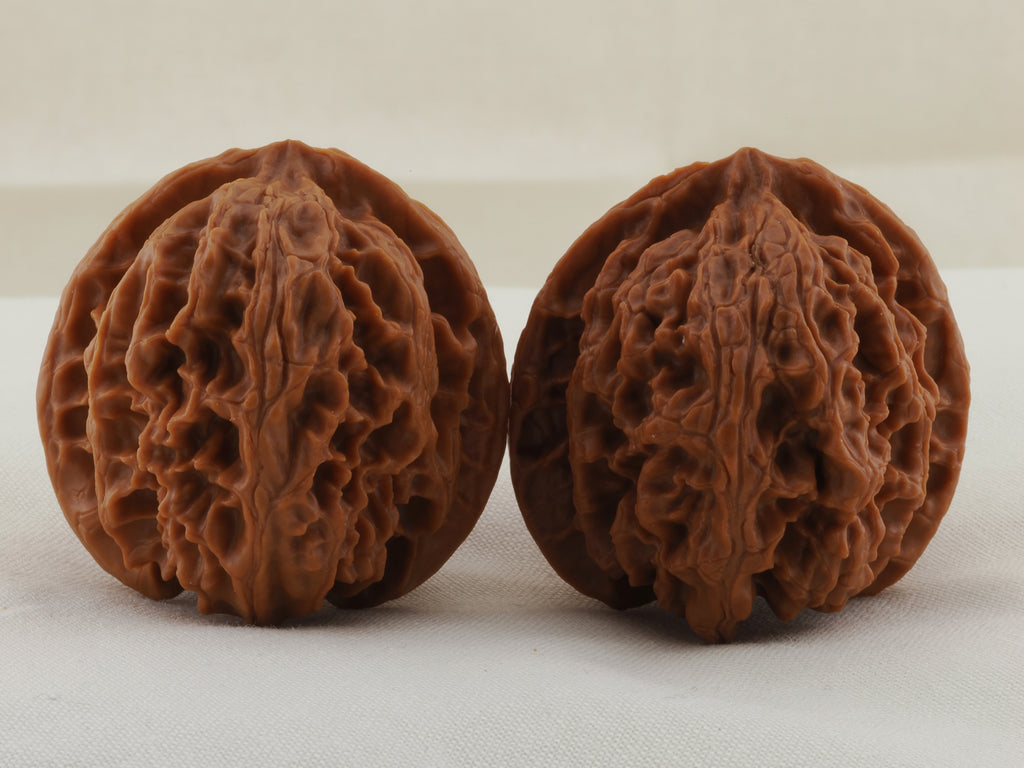 Apple Orchard walnut pair, 38 mm — WW-00019, hero view.
