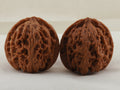 Apple Orchard walnut pair, 38 mm — WW-00019, hero view.
