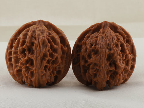Apple Orchard walnut pair, 38 mm — WW-00019, hero view.