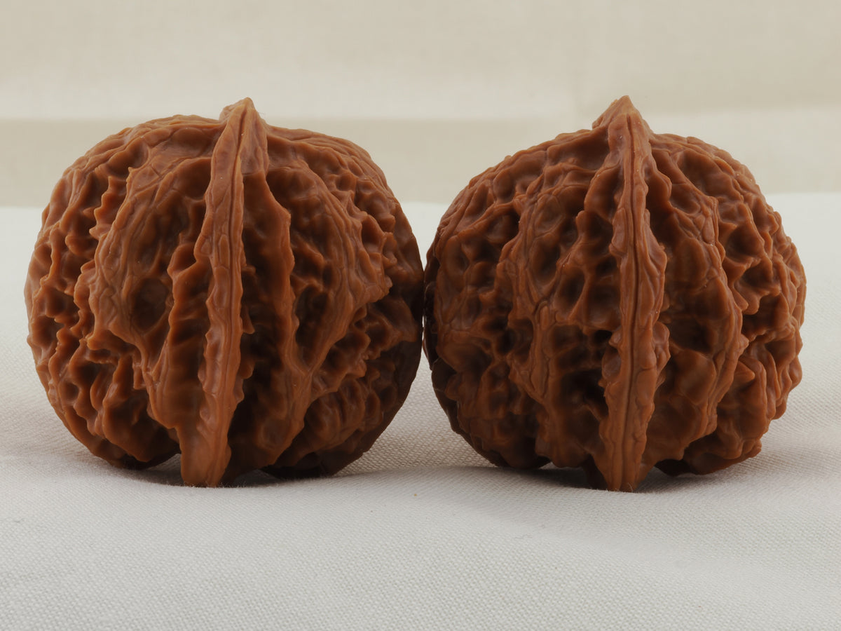 Apple Orchard walnut pair, 38 mm — WW-00019, view 2.