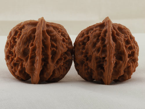 Apple Orchard walnut pair, 38 mm — WW-00019, view 2.