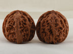Apple Orchard walnut pair, 38 mm — WW-00019, view 3.