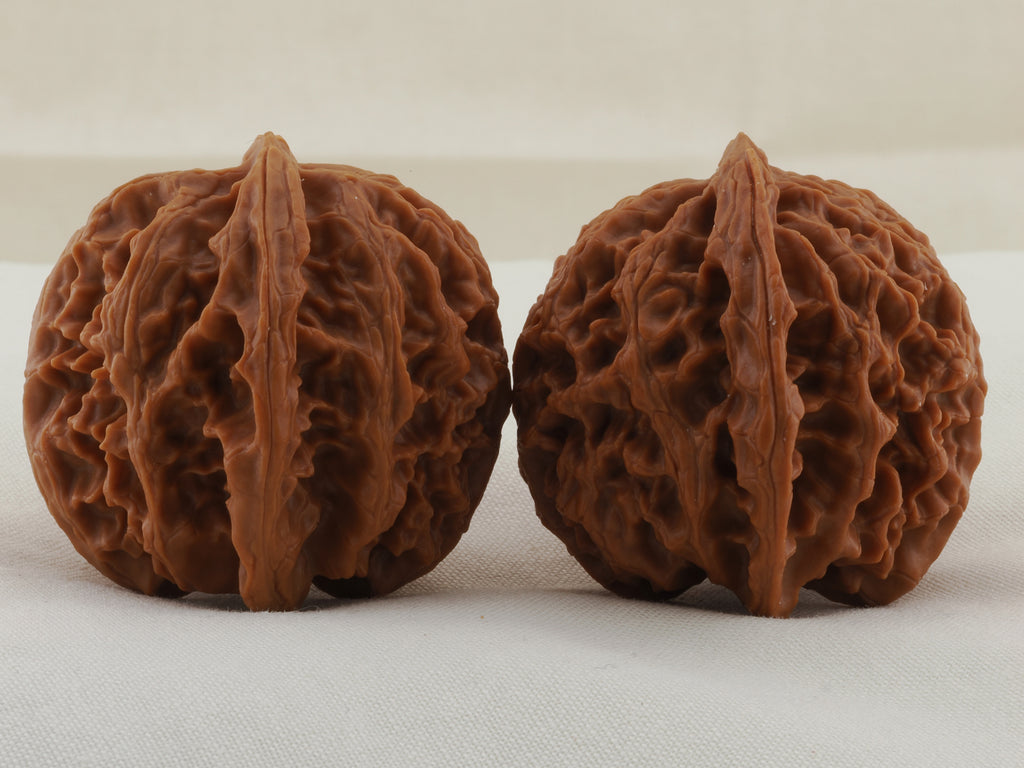 Apple Orchard walnut pair, 38 mm — WW-00019, view 4.