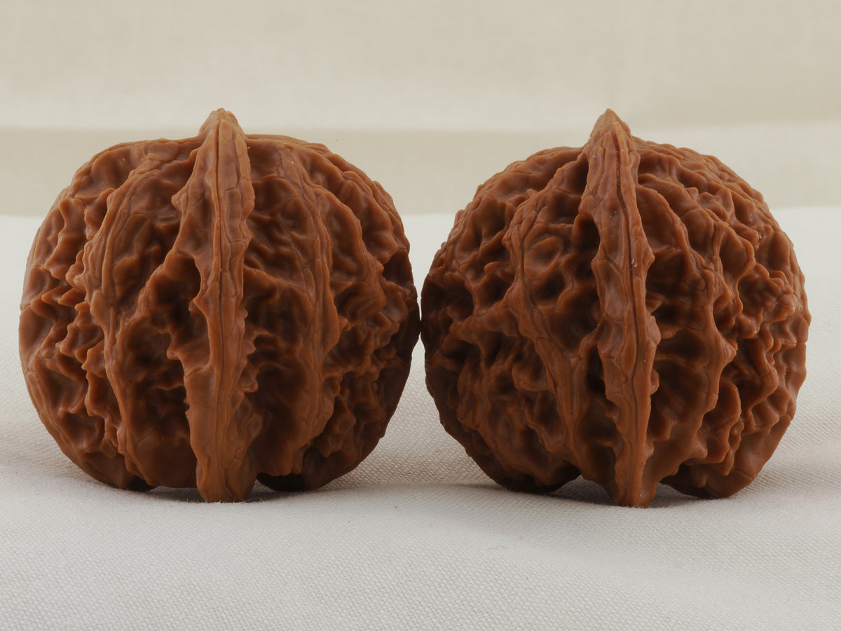 Apple Orchard walnut pair, 38 mm — WW-00019, view 4.