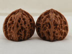 Apple Orchard walnut pair, 38 mm — WW-00020, hero view.