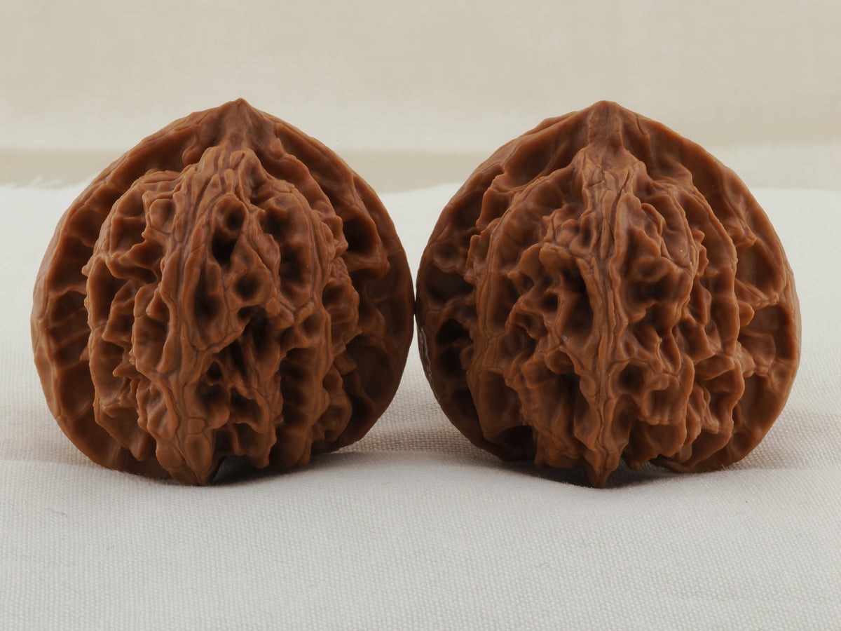 Apple Orchard walnut pair, 38 mm — WW-00020, hero view.