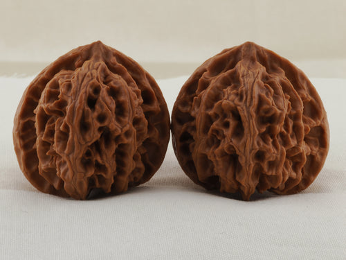 Apple Orchard walnut pair, 38 mm — WW-00020, hero view.