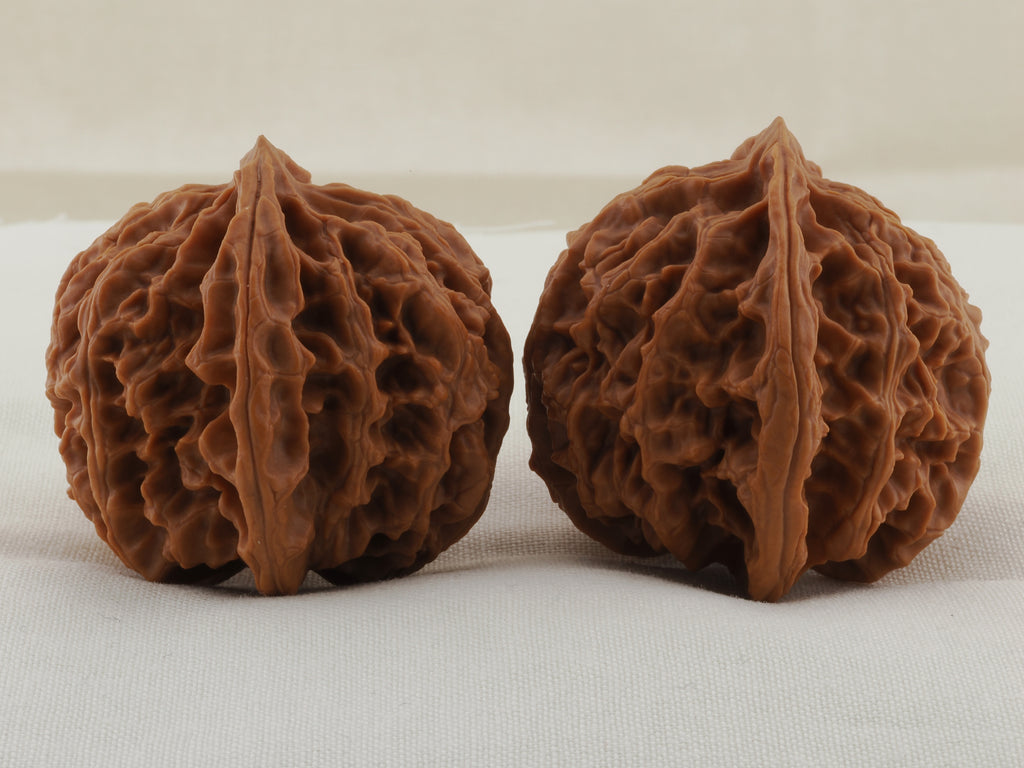 Apple Orchard walnut pair, 38 mm — WW-00020, view 2.