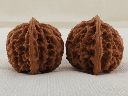 Apple Orchard walnut pair, 38 mm — WW-00020, view 2.