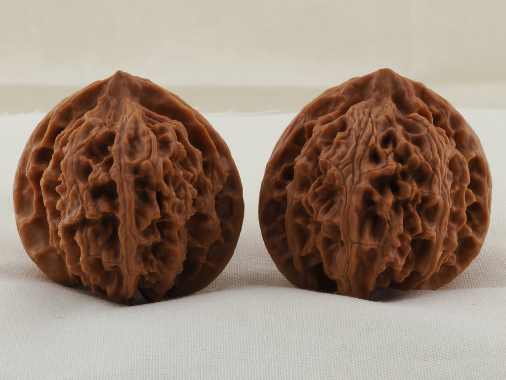 Apple Orchard walnut pair, 38 mm — WW-00020, view 3.