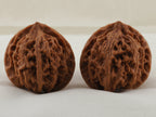 Apple Orchard walnut pair, 38 mm — WW-00020, view 3.