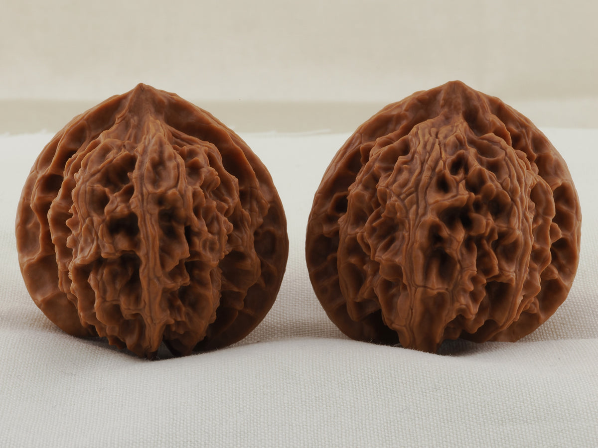 Apple Orchard walnut pair, 38 mm — WW-00020, view 3.