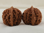 Apple Orchard walnut pair, 38 mm — WW-00020, view 4.