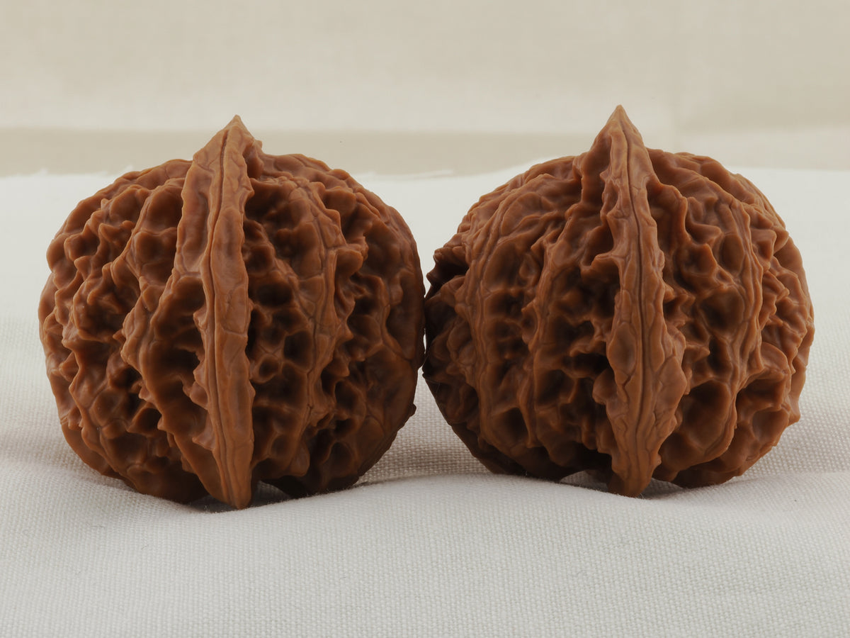 Apple Orchard walnut pair, 38 mm — WW-00020, view 4.