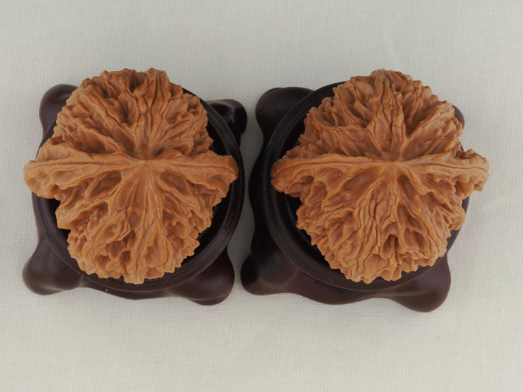 Apple Orchard walnut pair, 38 mm — WW-00020, view 5.
