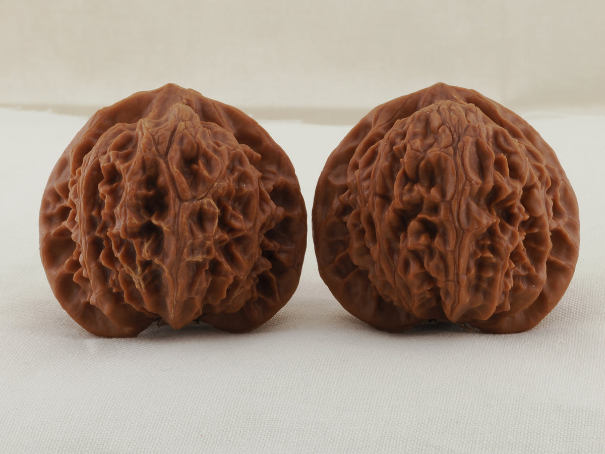 Palace Lantern walnut pair, 40 mm — WW-00021, hero view.
