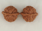 Palace Lantern walnut pair, 40 mm — WW-00021, view 5.