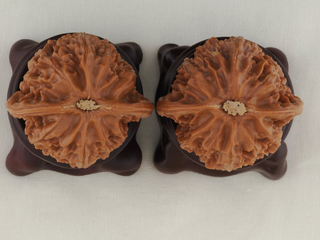 Palace Lantern walnut pair, 40 mm — WW-00021, view 6.