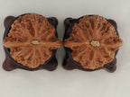 Palace Lantern walnut pair, 40 mm — WW-00021, view 6.