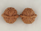 Palace Lantern walnut pair, 40 mm — WW-00022, view 5.