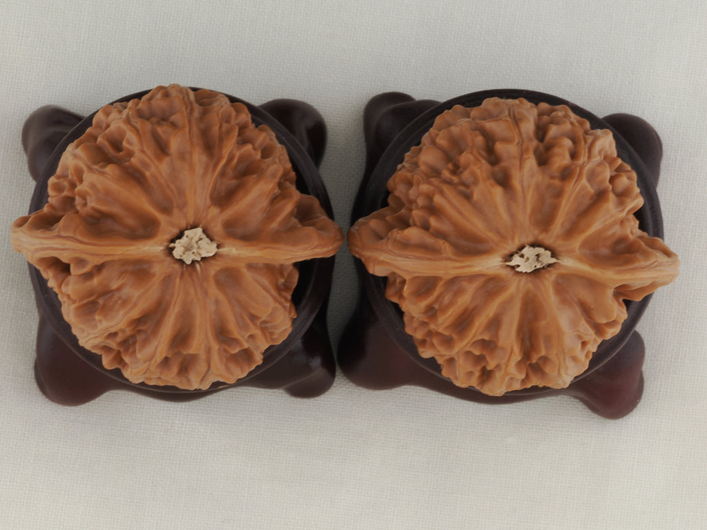 Palace Lantern walnut pair, 40 mm — WW-00022, view 6.