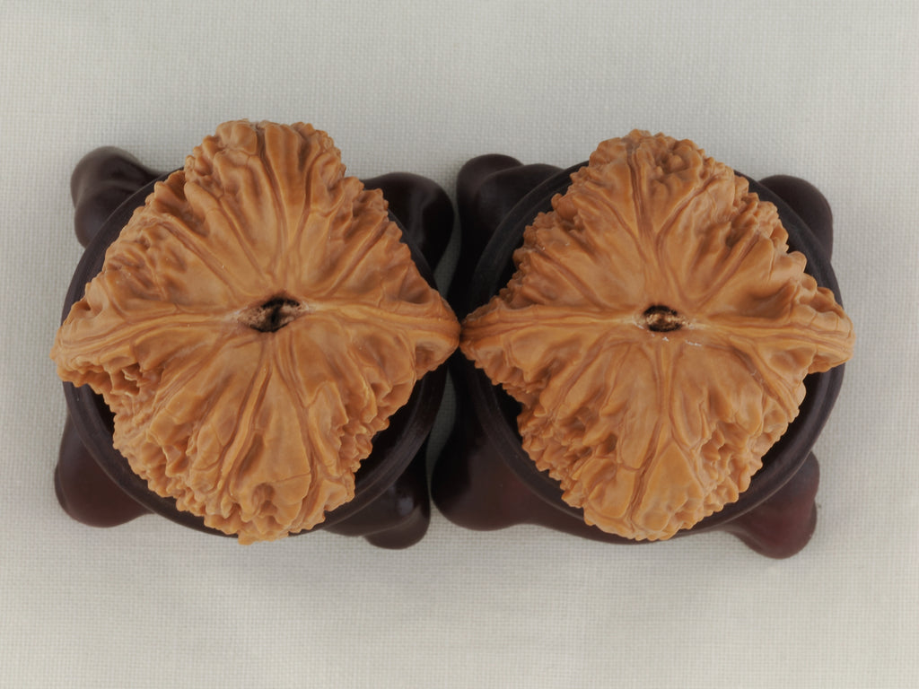 Kuancheng Lion Head walnut pair, 38 mm — WW-00023, view 6.