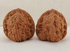 Kuancheng Lion Head walnut pair, 40 mm — WW-00024, hero view.