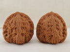 Kuancheng Lion Head walnut pair, 40 mm — WW-00024, view 3.