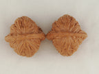 Kuancheng Lion Head walnut pair, 40 mm — WW-00024, view 5.