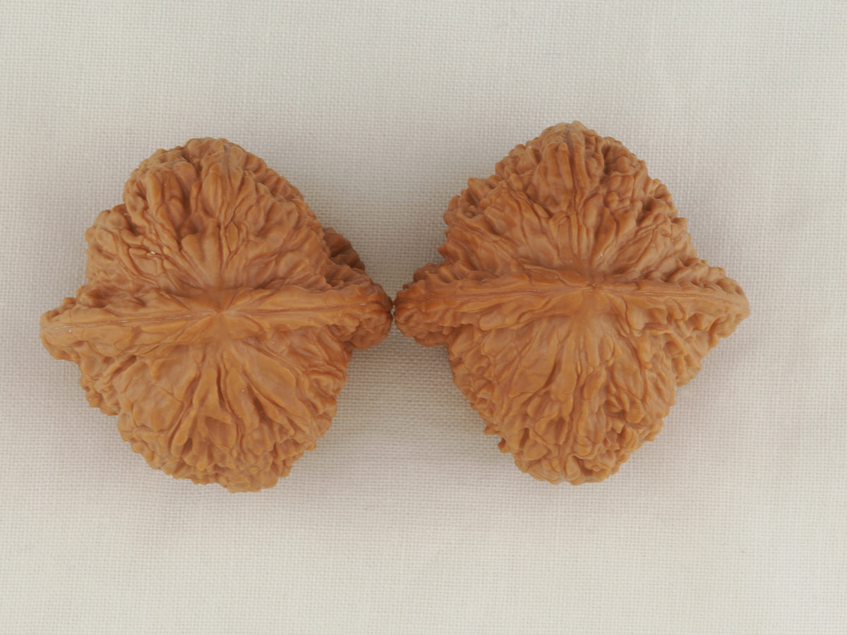 Kuancheng Lion Head walnut pair, 40 mm — WW-00024, view 5.
